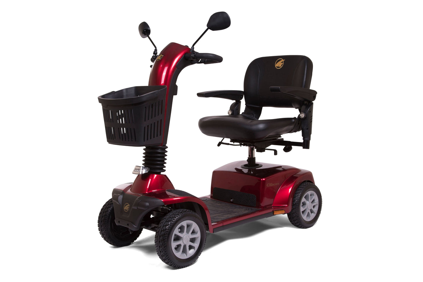 Companion Scooter