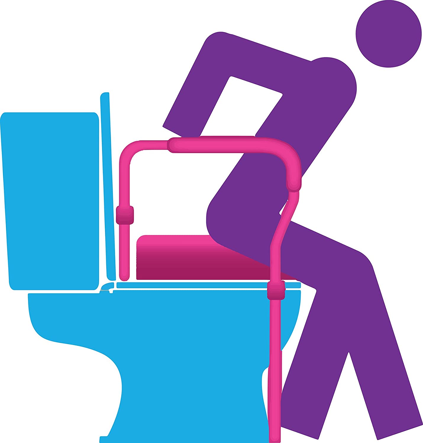Toilet Safety Rails