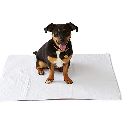 Incontinence Underpads