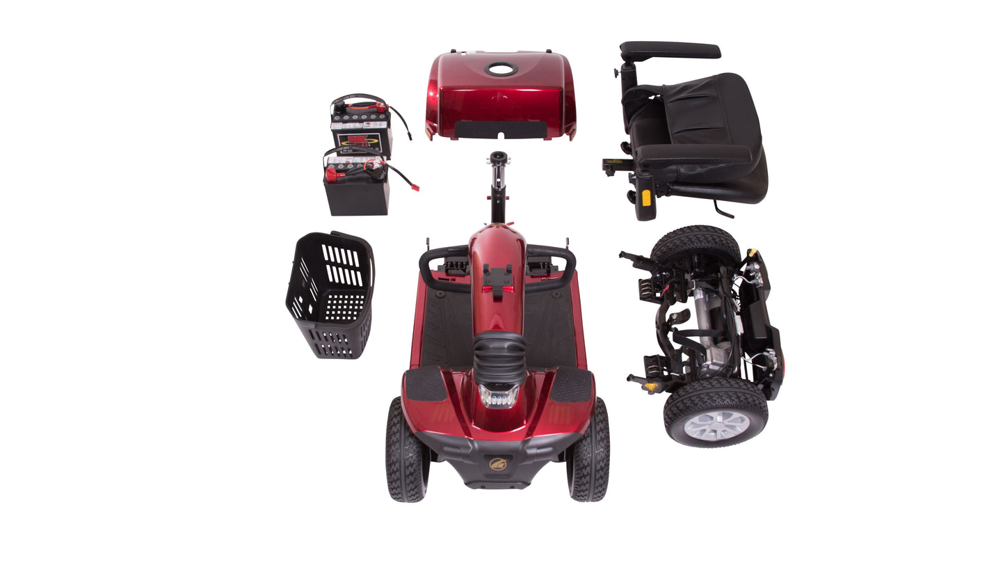 Companion Scooter