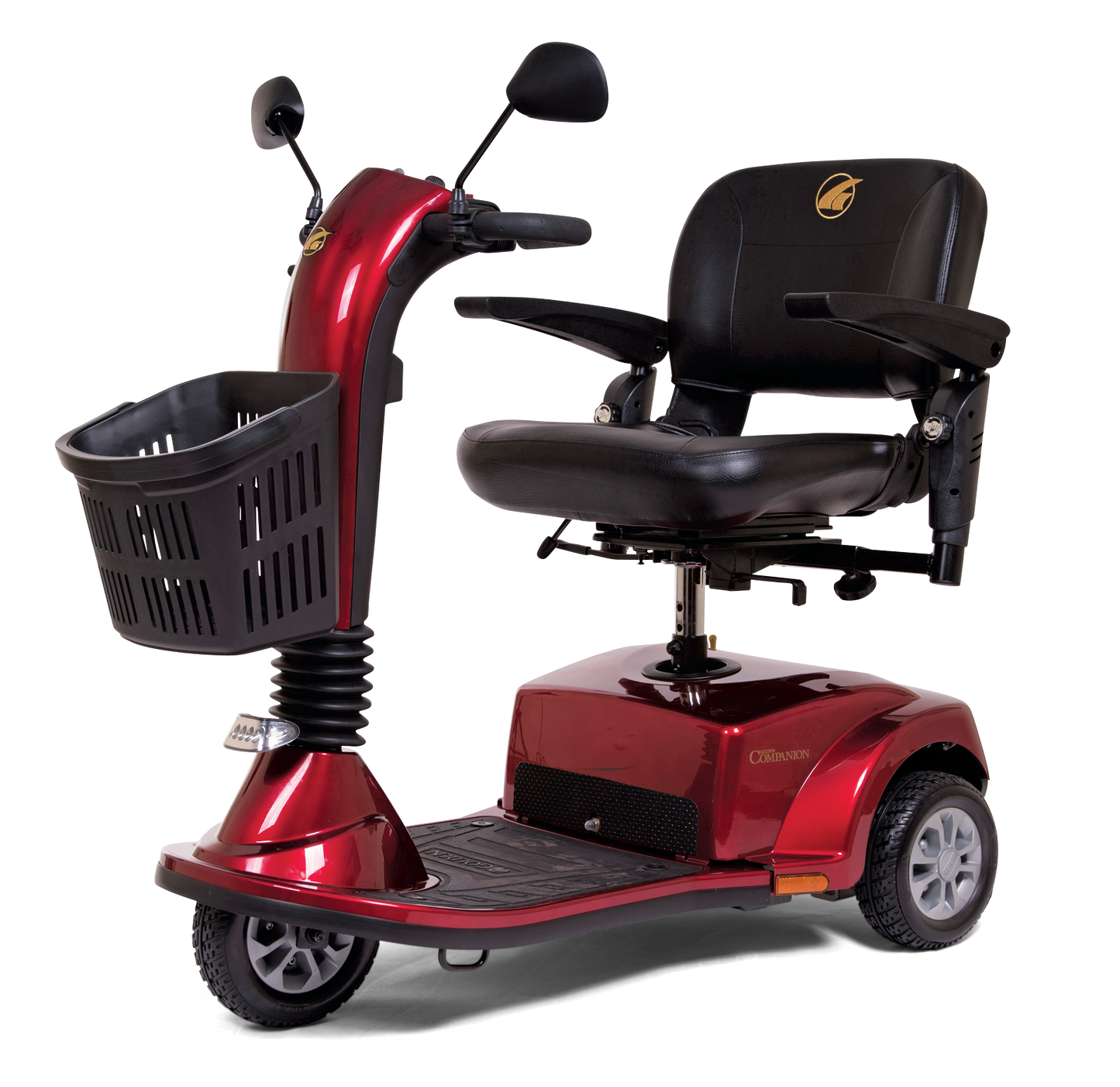 Companion Scooter
