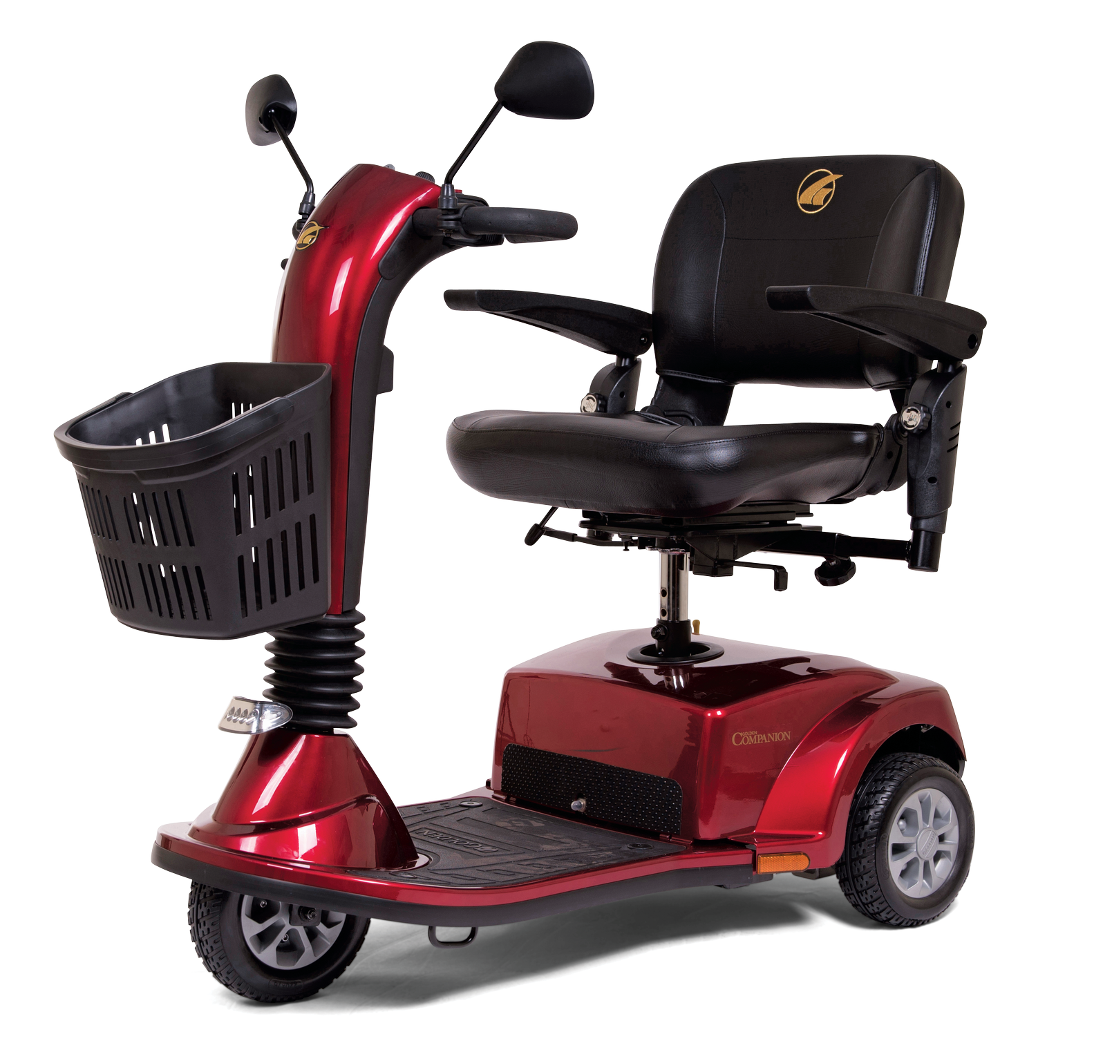 Companion Scooter