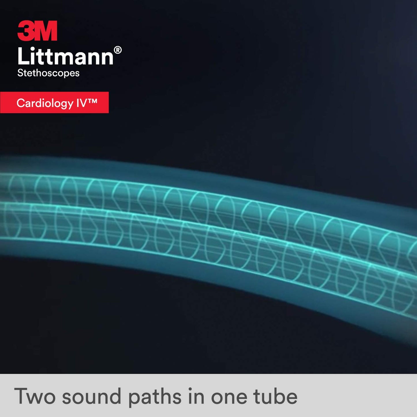 3M™ Littmann Cardiology IV™ Stethoscope
